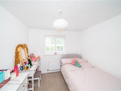 Picture 27